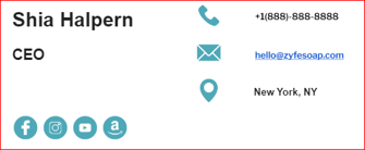 Zyfe Email Signature - Red Border